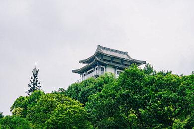 玩家对《赛博朋克2077》免费DLC不太满意 CDPR诉苦